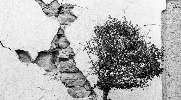 IL SEGNO DEL TERREMOTO I vuoti urbani del Cratere