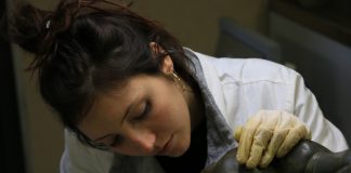 IL RESTAURATORE DI BENI CULTURALI. Parte Prima
