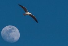 La lavastoviglie, le musicassette e la Luna.