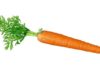 La carota.