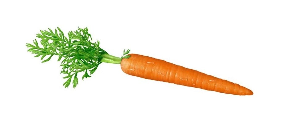 carot
