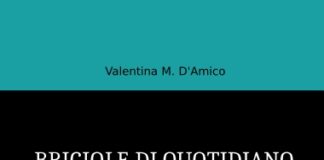 BRICIOLE DI QUOTIDIANO. Scrivi un romanzo in dieci parole.