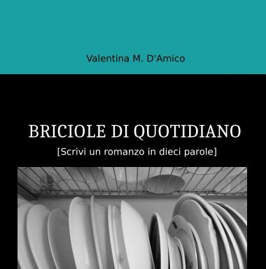 BRICIOLE DI QUOTIDIANO. Scrivi un romanzo in dieci parole.