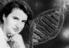 Rosalind Franklin e il sessismo nella scienza