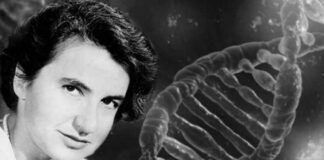 Rosalind Franklin e il sessismo nella scienza