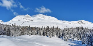 ESSERE MONTAGNA di Davide Sapienza