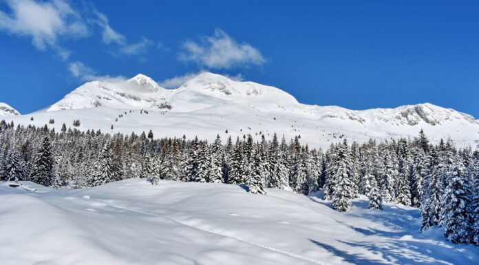 ESSERE MONTAGNA di Davide Sapienza