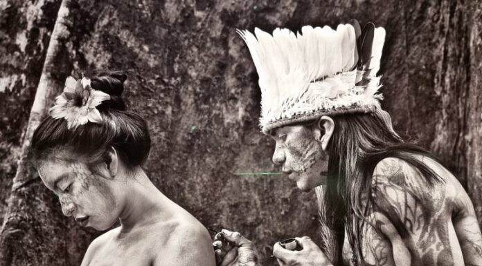 Sebastião Salgado, Amazonia