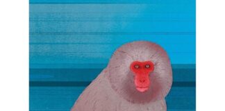 MURAKAMI: REALE E IRREALE SPESSO…