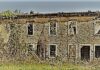 L’ISTINTO DELLA CACCIA