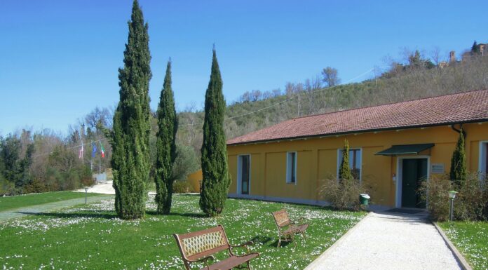 Un passo alla volta per riprendersi la vita