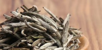 S2:E4 “Il Tè Bianco: Sussurro di Primavera e Poesia dell’Essenziale”